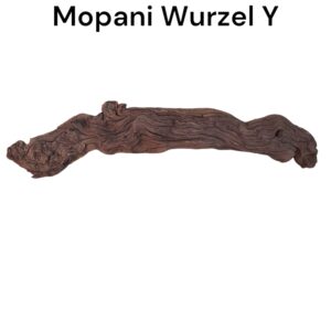 WhatsApp Image 2024-08-29 at 12.12.29.jpeg