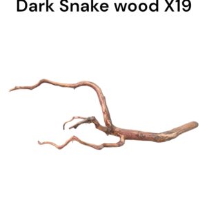 WhatsApp Image 2024-06-14 at 17.09.55(2).jpeg