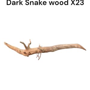 WhatsApp Image 2024-06-14 at 17.09.56(2).jpeg