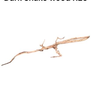 WhatsApp Image 2024-06-14 at 17.09.56(4).jpeg