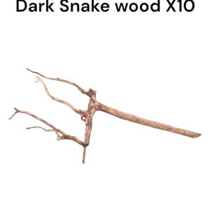 WhatsApp Image 2024-06-14 at 17.09.54(3).jpeg