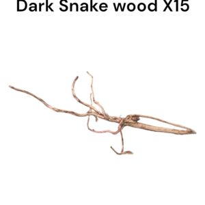 WhatsApp Image 2024-06-14 at 17.09.54(1).jpeg