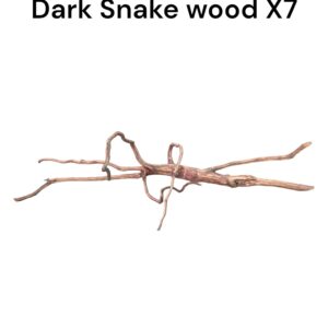 WhatsApp Image 2024-06-14 at 17.09.54(4).jpeg