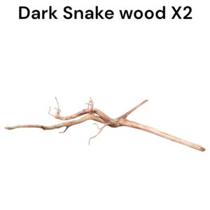 WhatsApp Image 2024-06-14 at 17.09.52(1).jpeg