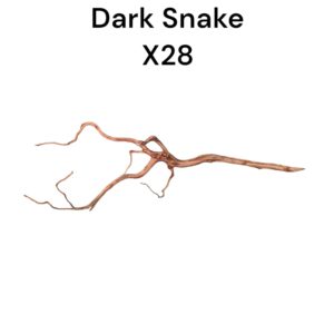 WhatsApp Image 2024-08-29 at 12.37.10.jpeg