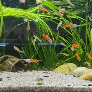 WhatsApp Image 2024-09-06 at 11.39.43.jpeg