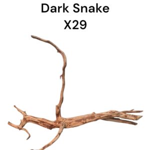 WhatsApp Image 2024-08-29 at 12.38.40.jpeg