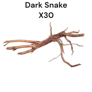 WhatsApp Image 2024-08-29 at 12.39.36.jpeg