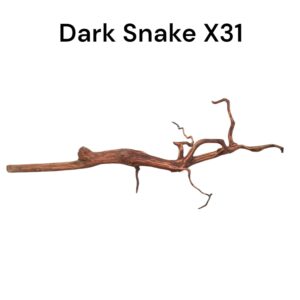 WhatsApp Image 2024-08-29 at 12.41.38.jpeg