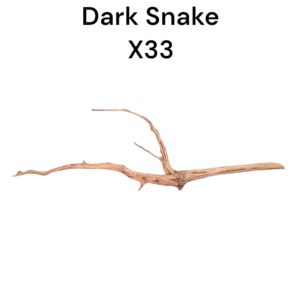 WhatsApp Image 2024-08-29 at 12.45.47.jpeg