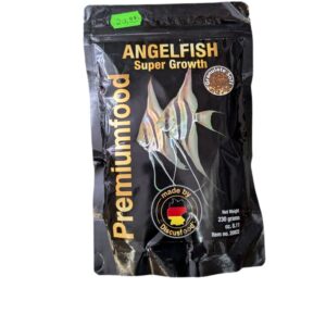 WhatsApp Image 2024-08-07 at 14.49.48.jpeg