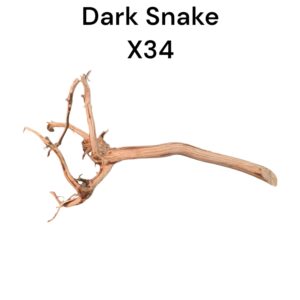 WhatsApp Image 2024-08-29 at 12.46.45.jpeg