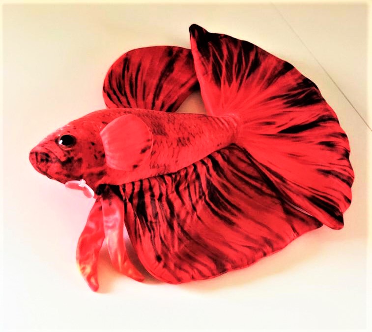 GreenPleco Betta – roter Plüschkampffisch