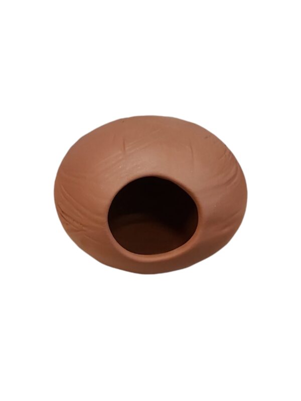 Kleine-Barschhoehle-Tonhoehle-Versteck-Zierfische.jpg