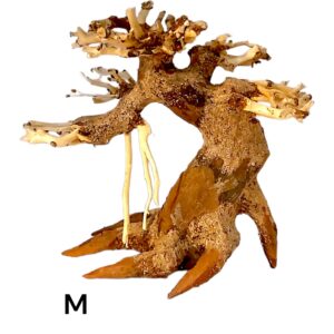 Garnelenbaum-M.jpg