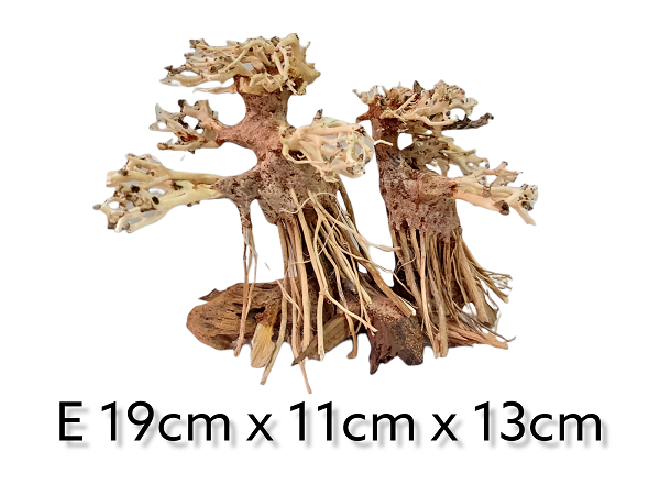 garnelenbaum-aquascape.png