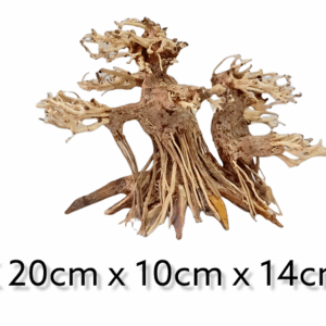 Aquarium-Garnelenbaum-Bonsai-Zwillingsbaum.png
