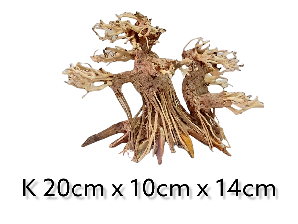 Aquarium-Garnelenbaum-Bonsai-Zwillingsbaum.png