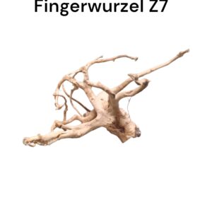 fingerwurzelz7a.jpg