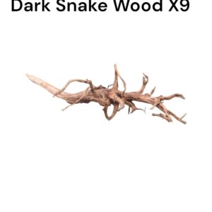 WhatsApp Image 2024-09-09 at 13.16.42.jpeg