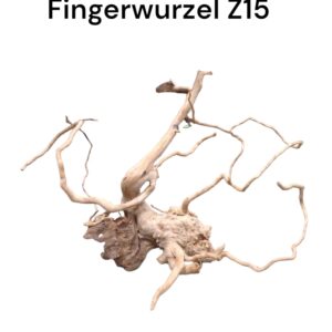 fingerwurzelz15.jpg