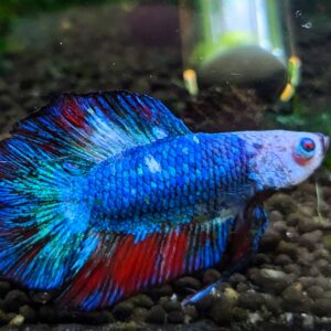 WhatsApp Image 2024-11-28 at 10.44.26.jpeg