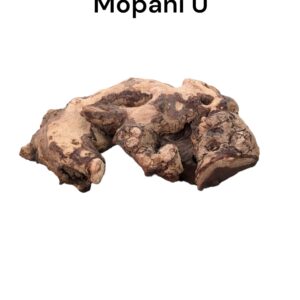 mopani u3.jpg