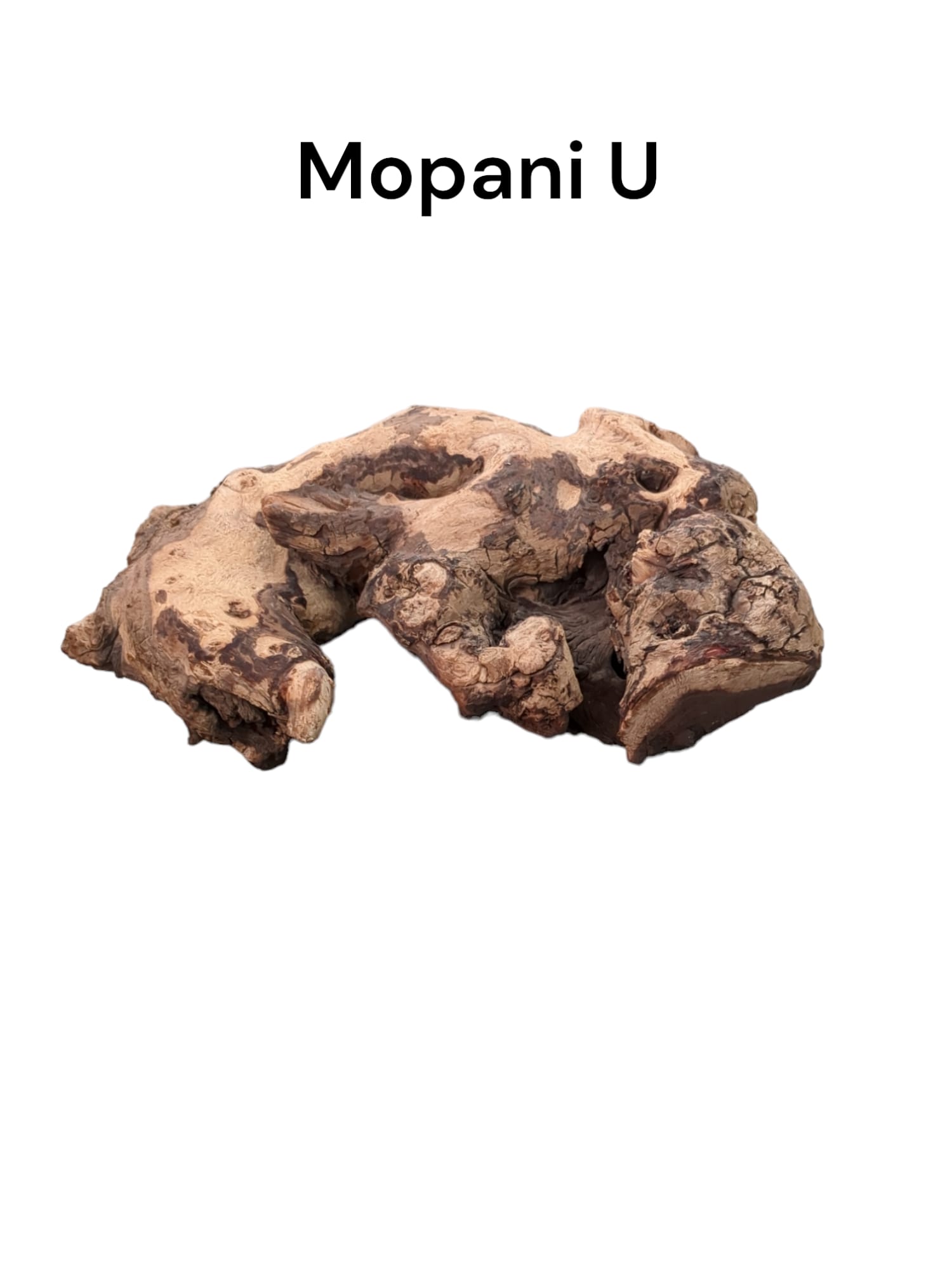 mopani u3.jpg