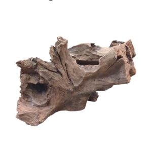 WhatsApp Image 2024-12-10 at 11.24.24.jpeg