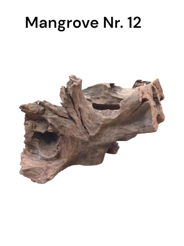 WhatsApp Image 2024-12-10 at 11.24.24.jpeg