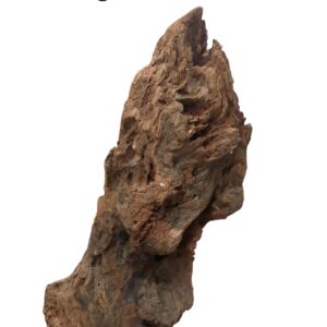 WhatsApp Image 2024-12-10 at 13.08.33.jpeg