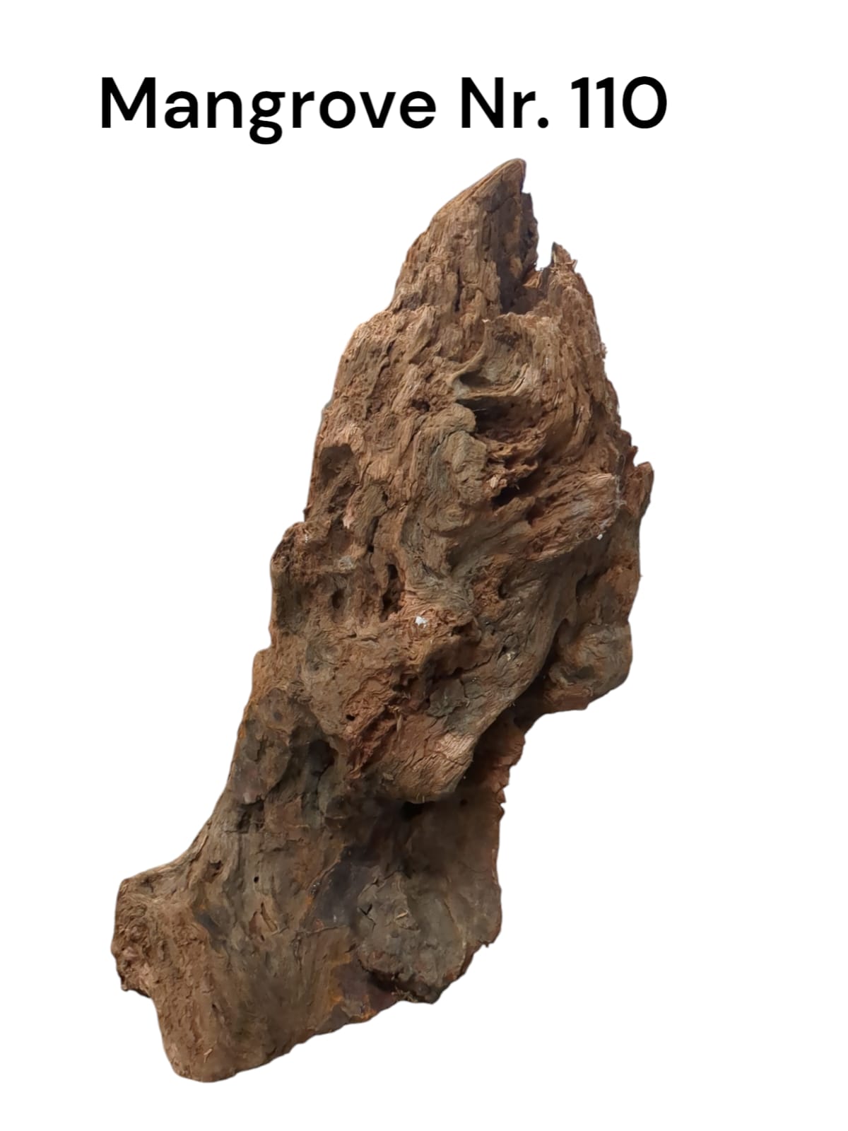 Mangrovenwurzel Nr. 110