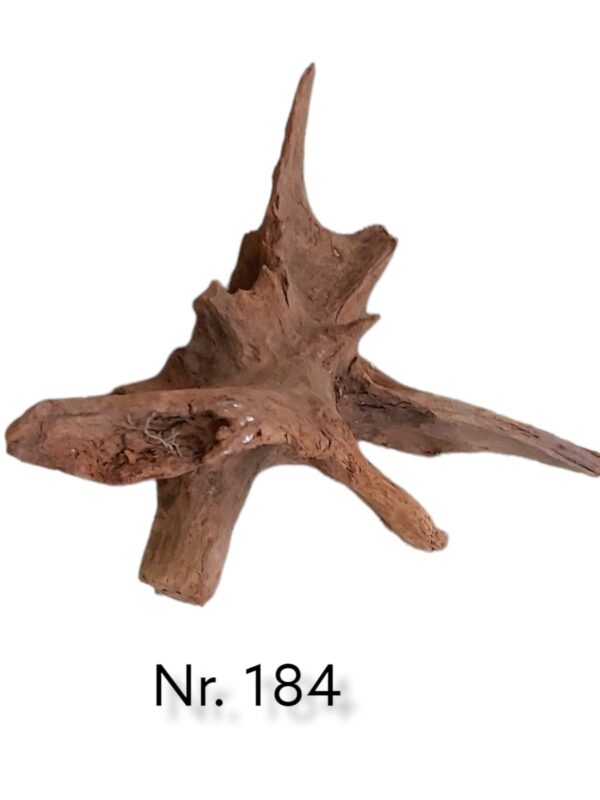 Mangrovenwurzel-Nr-184.jpg