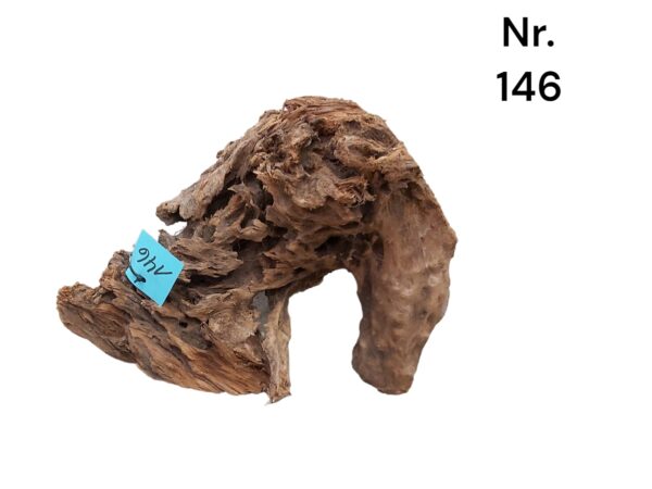 Mangrovenwurzel-Nr-146_4pdmmboh7XojH.jpg