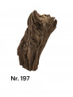 wurzel 197 2.jpg