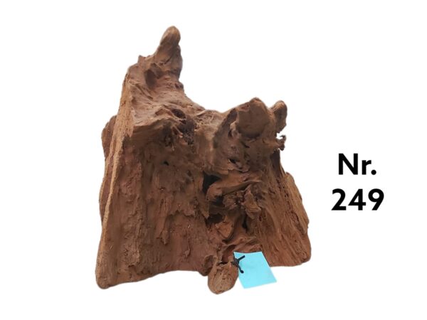 Mangrovenwurzel-Nr-249_.jpg