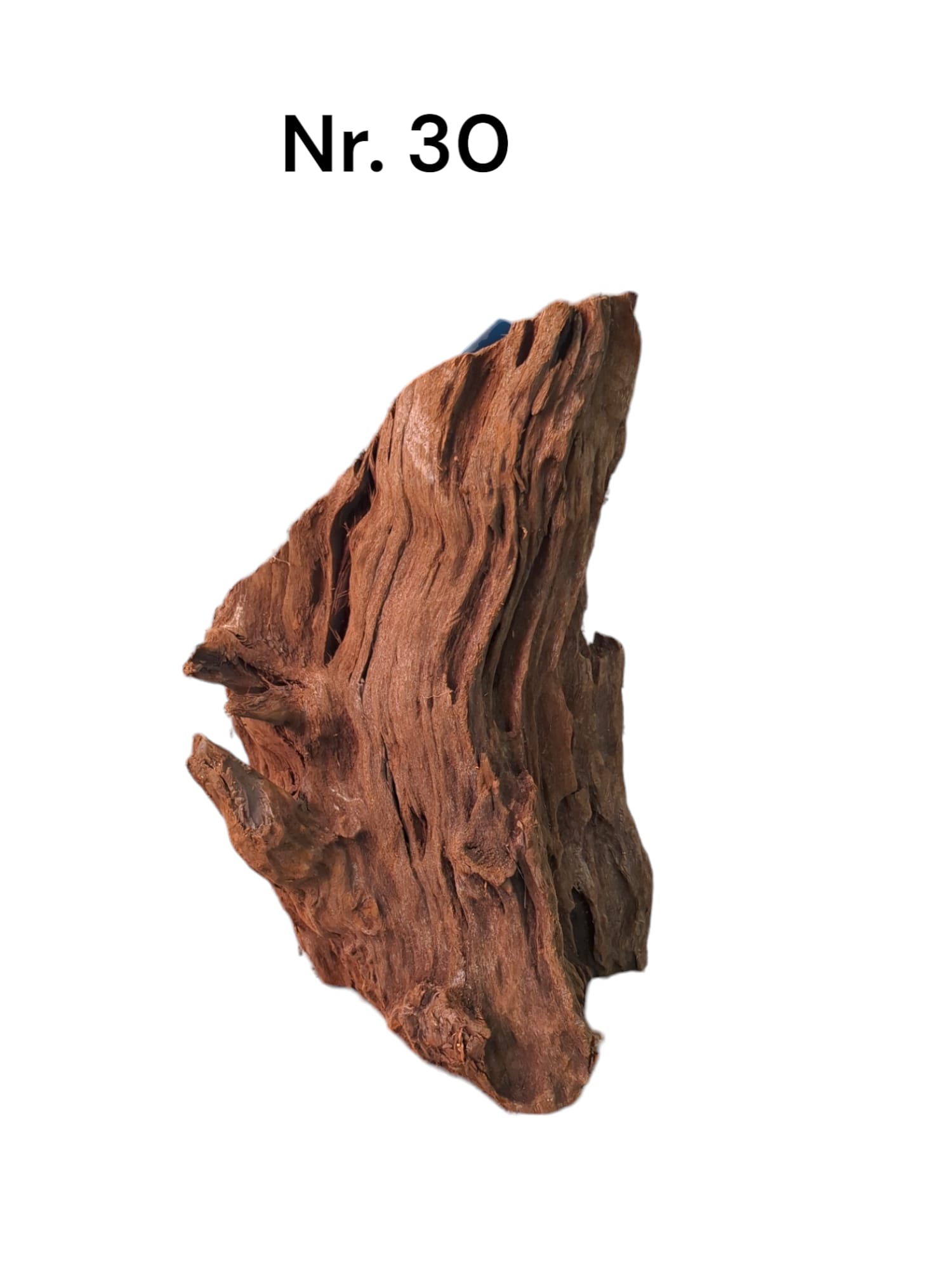 Mangrovenwurzel-Nr-30_A4faAJAfeYY2G.jpg
