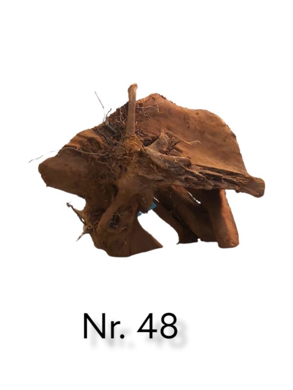 Mangrovenwurzel-Nr-48_.jpg