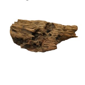 WhatsApp Image 2024-12-10 at 12.52.40.jpeg