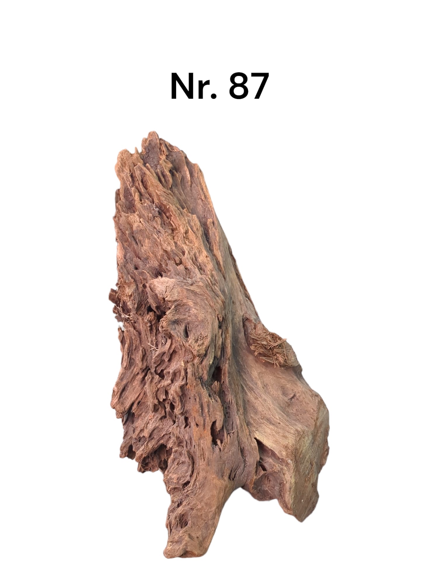 Mangrovenwurzel-Nr-87_.jpg