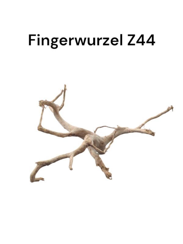 WhatsApp Image 2024-09-10 at 13.29.51.jpeg