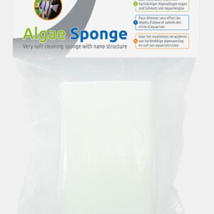 313622_SF_ALGAE_SPONGE_3D_11d4f.jpg