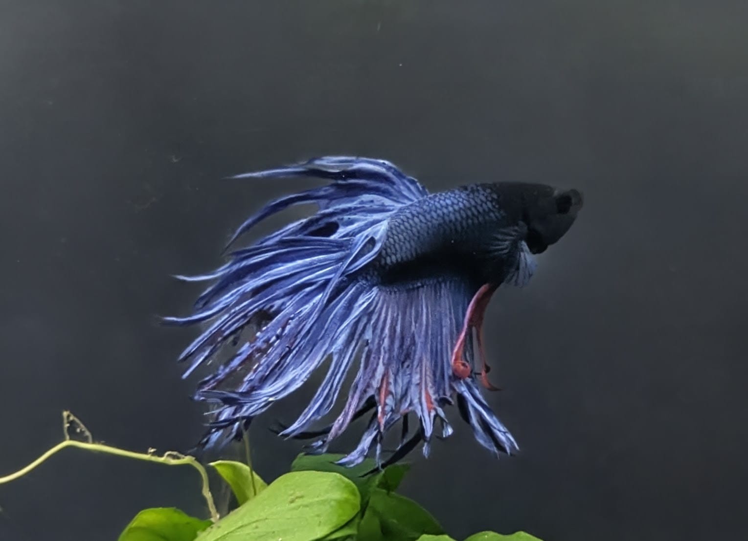 WhatsApp Image 2025-10-20 at 12.53.42.jpeg