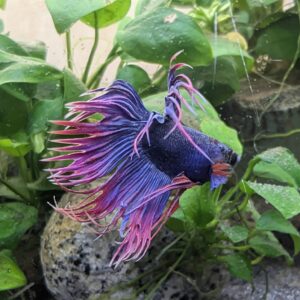 WhatsApp Image 2025-10-20 at 12.41.47(1).jpeg