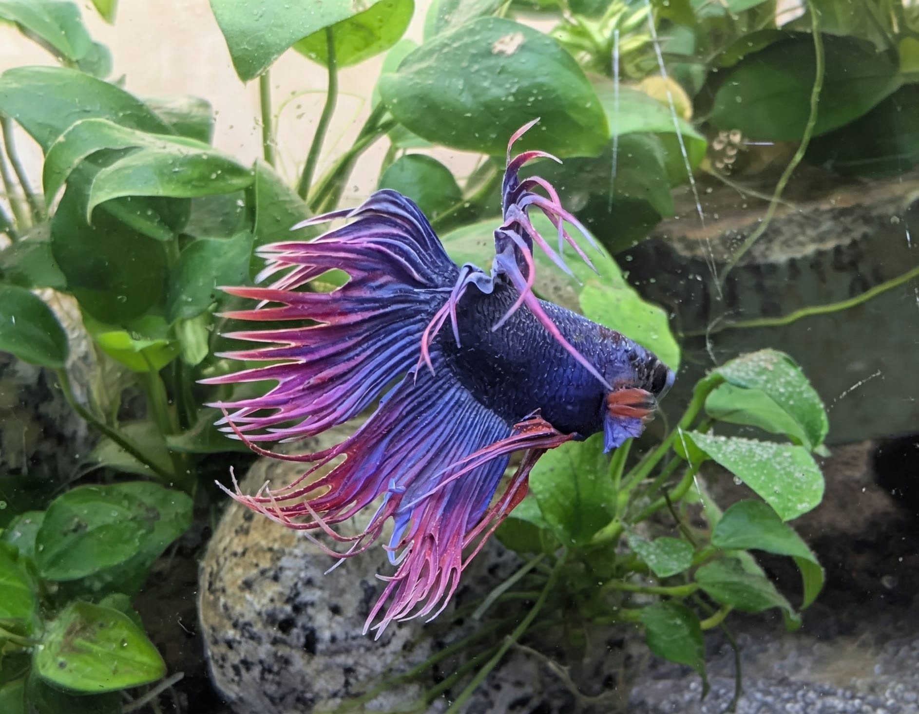 WhatsApp Image 2025-10-20 at 12.41.47(1).jpeg