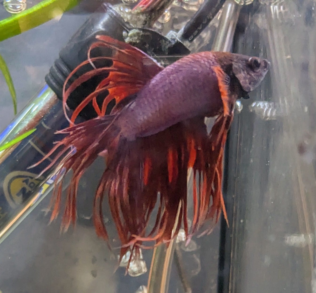 WhatsApp Image 2025-10-20 at 12.46.41.jpeg