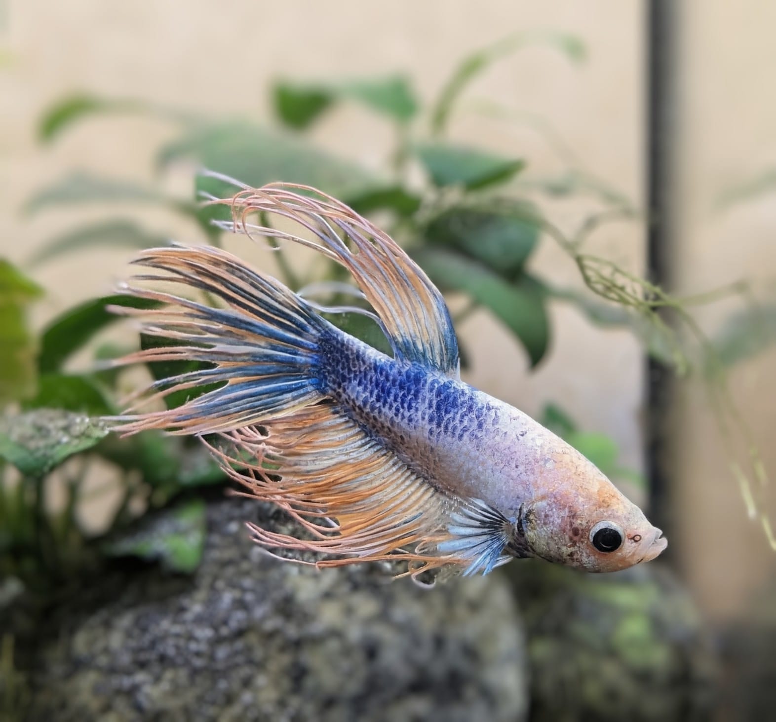 WhatsApp Image 2025-10-20 at 12.37.52.jpeg