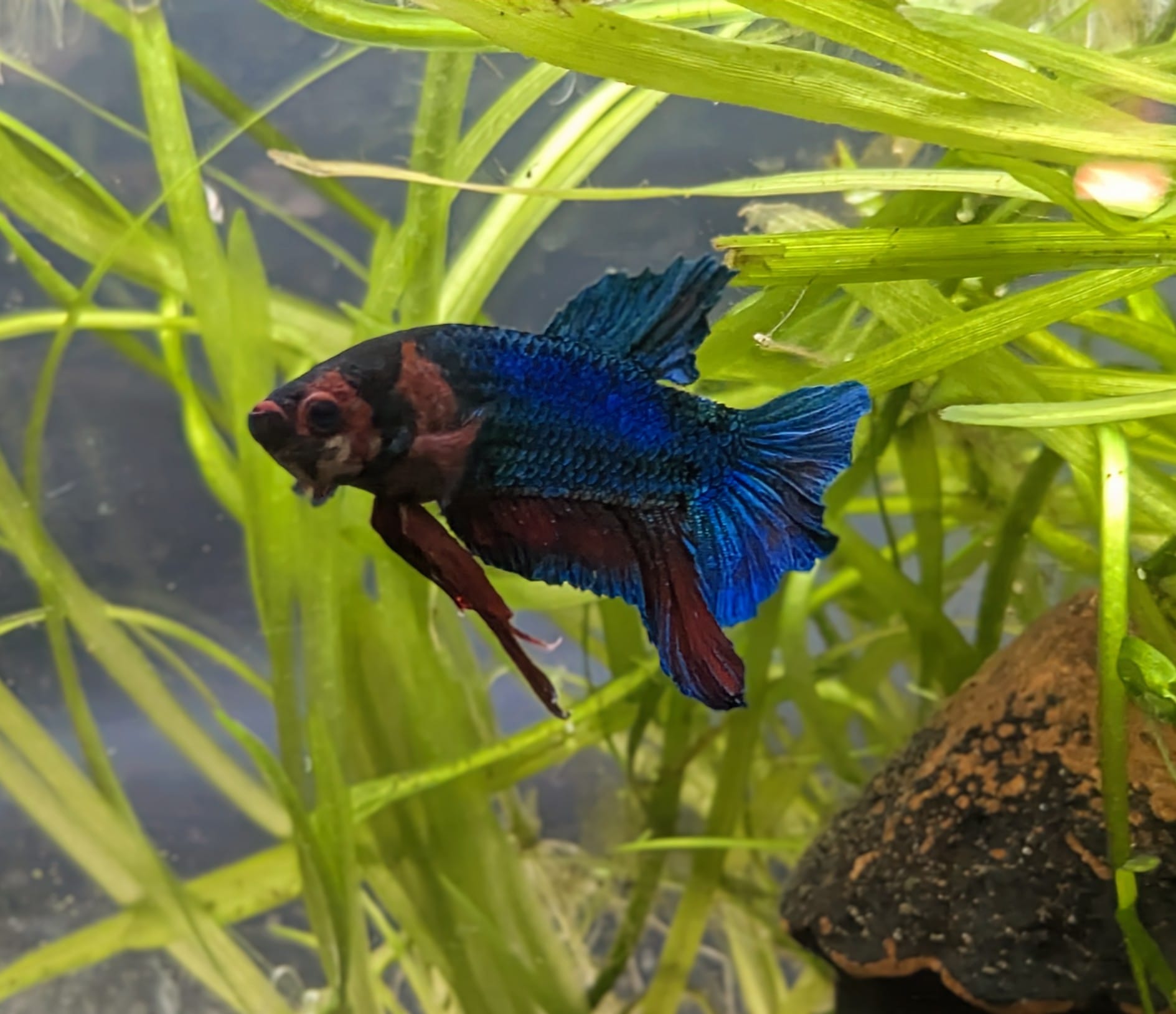 WhatsApp Image 2025-10-20 at 12.52.39.jpeg