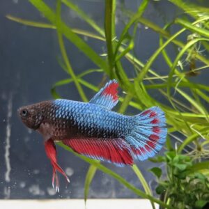 WhatsApp Image 2025-10-20 at 12.50.29.jpeg