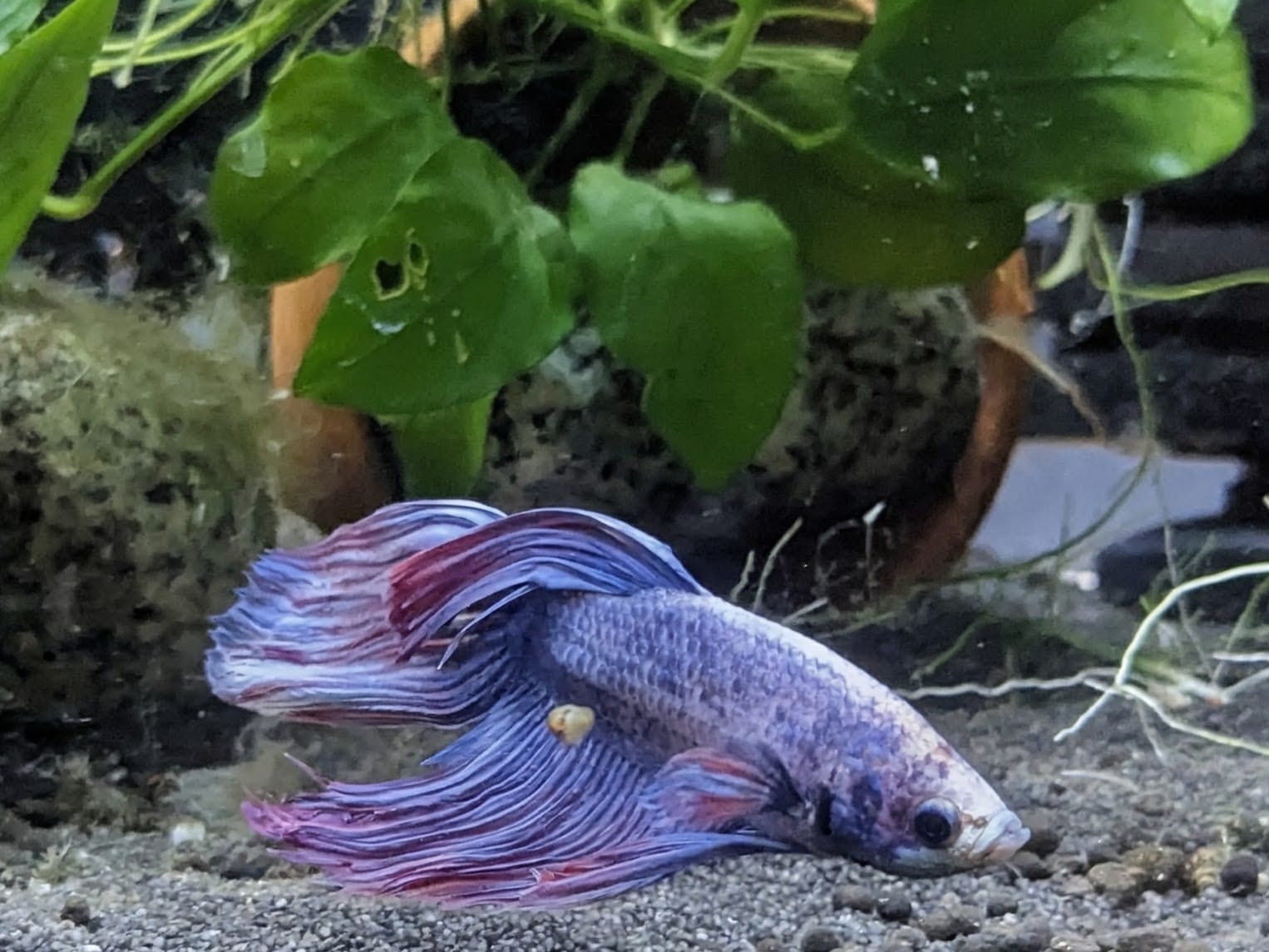 WhatsApp Image 2025-10-20 at 13.25.02.jpeg